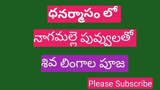 ధనుర్మాసం లోసోమవారం నాగ మల్లె పువ్వులతో శివ లింగంలకు  పూజ / Shiva Pooja