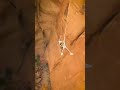 Epic Moab Rope Swing