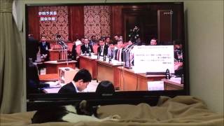 次世代の党　和田正宗「村山談話の植民地支配・侵略について」20150401予算委