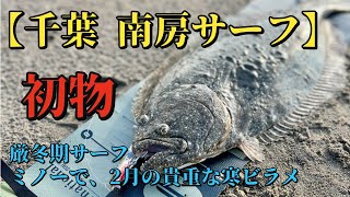 【初物】【千葉 南房サーフ】2月17日 厳冬期サーフで貴重な良型寒ビラメ！