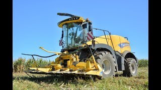 Agroslužby.eu 2019 - New Holland FR650 + 4x JCB ( 2x 8310, 7230, 3230 ) , siláže / silage