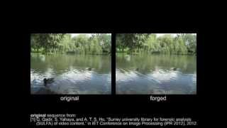 Video forgeries examples