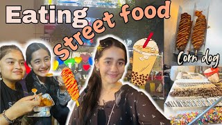 Last vlog of 2024 ,Rating street food || Mahavir Nagar || Aakritisharmavlogs