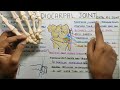 radio carpal joint wrist joint complex biomechanics physiotherapy tutorials