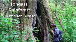 Alaska Cruise Shore Excursion: Tongass Rainforest Ketchikan Alaska RECOMMENDED!