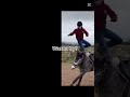 horse riding is so easy