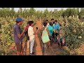 ಆಪಲ್ ತೋಟ ಕಾಯಲು ಬೆಂಗಳೂರು ರೈತನ ಐಡಿಯಾ apple farmer bangalore farming karnataka kannada krushi