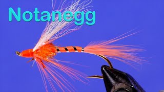 The Notanegg steelhead, salmon fly (formerly the NoName), is a substitute for an egg fly that works.