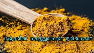 மஞ்சளின் மகத்துவம் | Turmeric Uses | Turmeric weight loss | Tamil  #Doctors Basket#