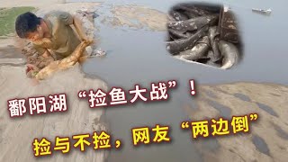 长江干旱：鄱阳湖水位下降，村民进湖捡鱼，该不该捡？网友争议大