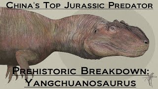 Prehistoric Breakdown: Yangchuanosaurus