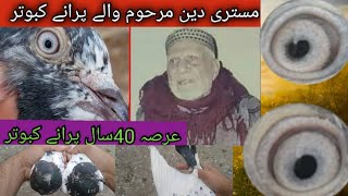 ایک نیا جوڑا سیٹ کیا ہے پیور ٹیڈی شوق کریں مزا آئے گا