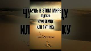 Будь в этом мире подобно чужеземцу или путнику || Наиль Абу Салих