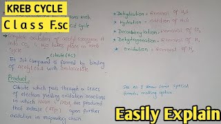 Kreb Cycle Explained | Citric Acid Cycle | Class 11 Biology