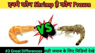 Fun facts about shrimp and prawn #shorts #viral #trending #shrimpvsprawn #shrimp #prawn #amazingfact