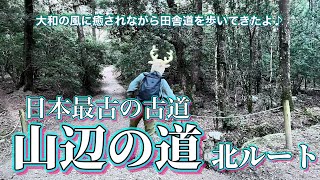 【奈良・古道】山辺の道北ルート・山の麓の田舎道を散策してきました♪