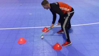 Zaal Hockey Tricks #2