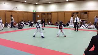 第12回関西ITFテコンドー選手権大会マッソギ小学生女子中量級決勝1R(2018年10月28日)