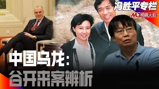 中国乌龙：谷开来案辨析｜历史篇（冯胜平专栏）