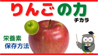 【りんごの力】りんごの栄養素や保存方法などを分かりやすく紹介