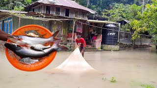 Best Fishing Video in Home | Catching Fish After Rain | Net Fishing | YouTube Village BD