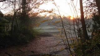 Ahlhorner Fischteiche; Wasser bereits abgelassen; Abendstimmung! Diashow