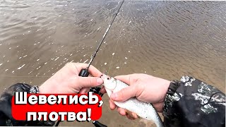 КРУПНАЯ ПЛОТВА НА МОРМЫШКУ! Мормышинг в апреле. Рыбалка 2024. DAYO удивил, CF расстроил!