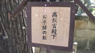 30秒の心象風景22767・お手植えの松～斑鳩寺～