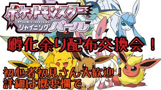 初心者大歓迎🔰第八十八回目の 孵化余り配布交換会（渡せるポケモン・アイテムの詳細は概要欄にて）ポケモンBDSP