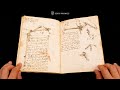 LEONARDO DA VINCI: CODEX ON THE FLIGHT OF BIRDS - Browsing Facsimile Editions (4K / UHD)