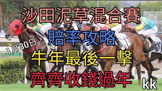 賽馬貼士2022年1月30日沙田泥草混合賽(賠率攻略)