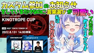 ちーちゃんの大会説明を聞くとその大会に興味が出てくる不思議【APEX】【勇気ちひろ/にじさんじ/切り抜き】