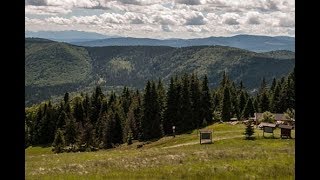 wycieczka: Żabnica - Rysianka - Boracza - Żabnica