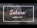 rossa - sakura | fingerstyle ( gitar cover )