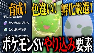 【ガチりたい人必見】ポケモンSVクリア後は○○○をやるべし！