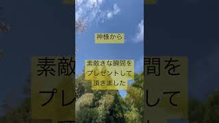 神様から素敵なプレゼント熊本県山鹿市御宇田神宮