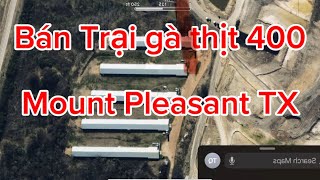 Bán trại gà 400 ở Mount Pleasant TX