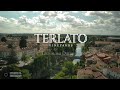 The Story of Terlato Vineyards – Passion & Quality from Friuli Colli Orientali