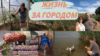 Посылка. Убираю в теплице. На рыбные места, река Самара #ukraine #жизньзагородом #familyvlog