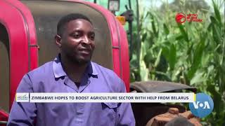 Zimbabwe Hopes To Boost Agriculture Sector With Help From Belarus