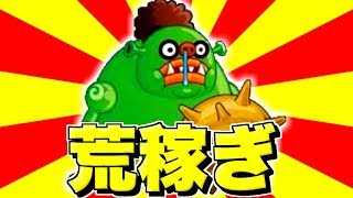 【生放送】グルチャP荒稼ぎリーグ