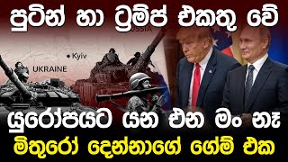 පුටින් හා ට්‍රම්ප් එකතු වේ..යුරෝපයට යන එන මං නෑ | Vladimir Putin \u0026 Donald Trump |