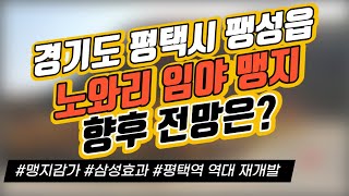 경기도 평택시 팽성읍 노와리 임야 맹지 향후 전망은? / 맹지감가 / 삼성효과 / 평택역 일대 재개발 / 토지거래허가구역｜부동산 상담｜정연훈｜전투남