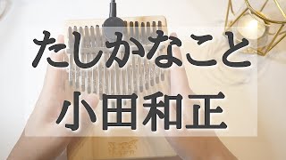 たしかなこと / 小田和正 【カリンバ】ĐIỀU CHẮC CHẮN【kalimba】Tashika Na  Koto