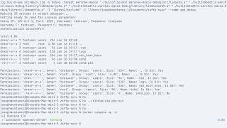 Integrating C Libraries Into Zig - What To Expect