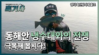 [흑기사 장원석] 영덕 축산방파제 출조! 동해안 냉수대와의 전쟁!!!