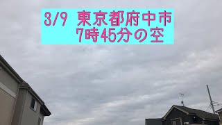 ウェザーリポート動画　0309 @東京都府中市　7時45分