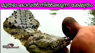 മുതല കാവൽ നിൽക്കുന്ന ക്ഷേത്രം || Ananthapuram temple kasaragod | Kerala temple | Aanakathakal