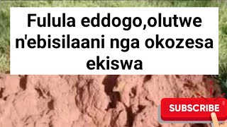 Kozesa ekiswa ekyaafuluka weyambulule ebisilaani, olutwe n'eddogo,manya enkozesa wano