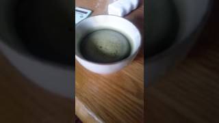 ダイソーのカプチーノミキサーで抹茶をたてる